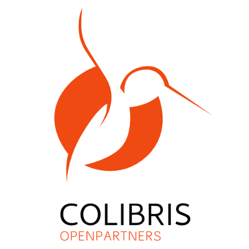 COLIBRIS_es's profile picture. Expertos en Diseño Web, Marketing Online y Social Media. Desarrollamos proyectos y estrategias online rentables.