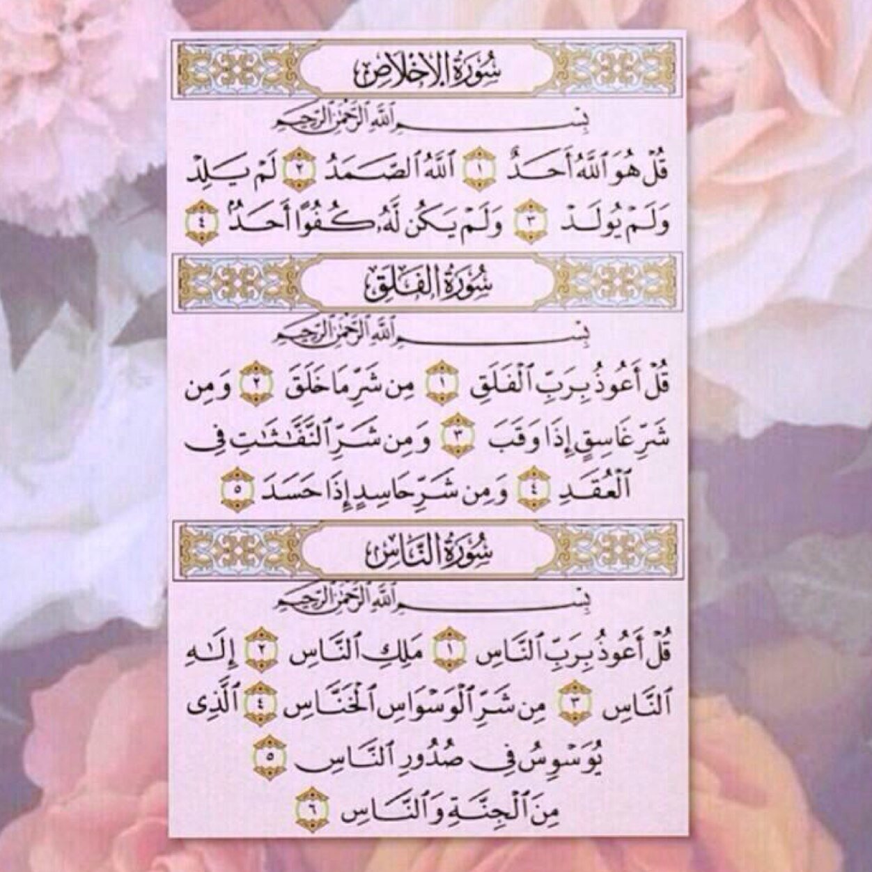 تنزيل صفحه من القرآن بشكل يومي لختم القران معاً بقراءتها وكسب الاجر #بندر_الناجم