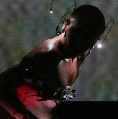 Transmedia Artist, philosopher, activist and coordinator of REVERSO