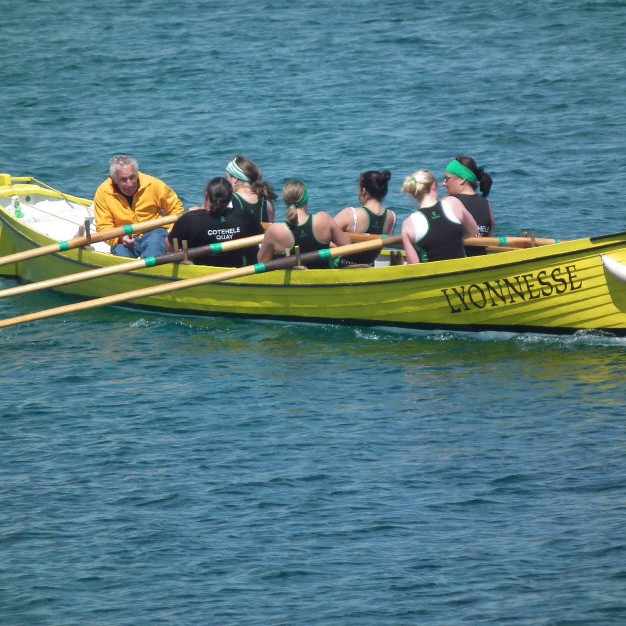 Theatre Nurse, Gig Rower, Ukulele player, and bee keeper