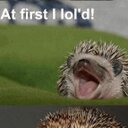 Aaron Egan - @AaronEgan16 - Twitter