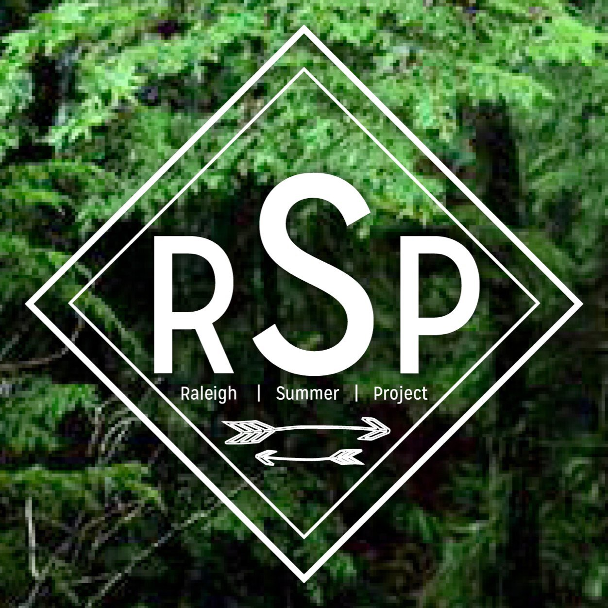 TheRaleighSP's profile picture. 