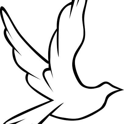 Professional online video producers, committed to creating memorable funeral slideshows.