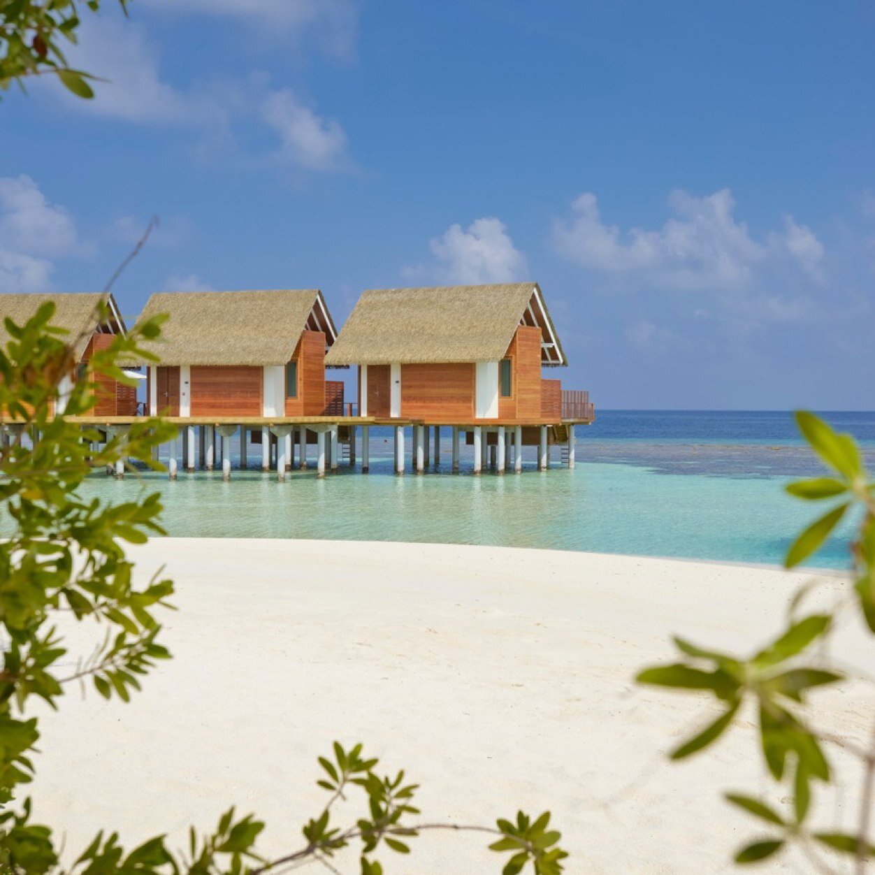 eMaldivesNews's profile picture. News from the Maldives