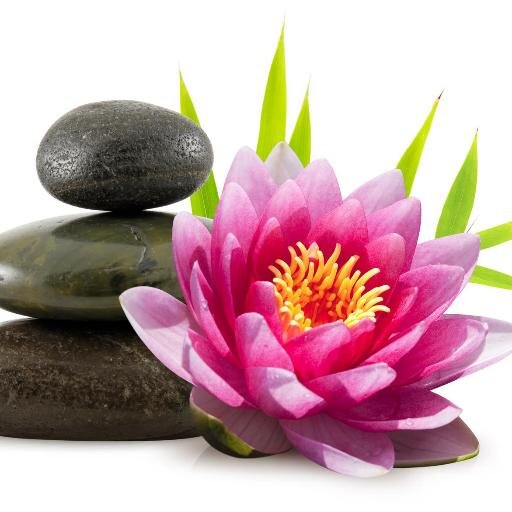 eltriodelifa's profile picture. 