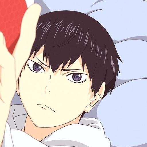 There's this one cute animal that doesn't scratch my face. He's an orange puppy. 
Boyfriends with  @ImTheSmallGiant. Contact me if @SenpaiKuroo is lost lol