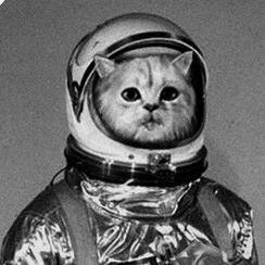 jloppert's profile picture. Catronaut