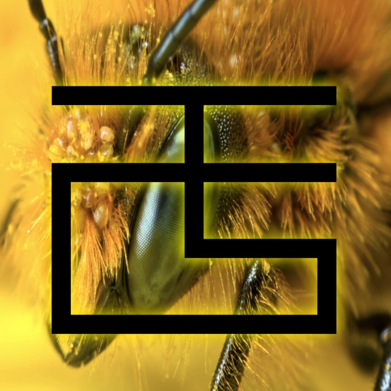 TheBuzzki11's profile picture. Sub competitive player in COD ! Gamertag---TA Buzzer #BoysInBlue