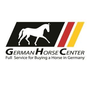 GHC-German Horse Center: Many reputable German stables unite under https://t.co/6asiybNZqG to offer top horses for sale.