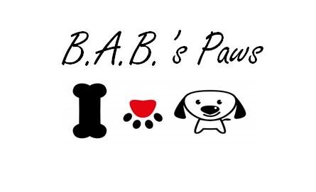 Dog lover, life admirer, passionate cook, marketer, blogger, member of @BlogPaws community,...