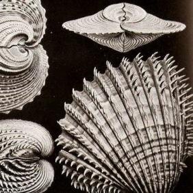 We are a group of young researchers editing a blog on history of science. Tweets by Elian Schure.