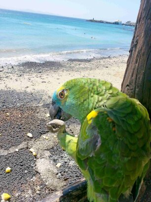 RockstarLeopard's profile picture. I don't use Twitter much!