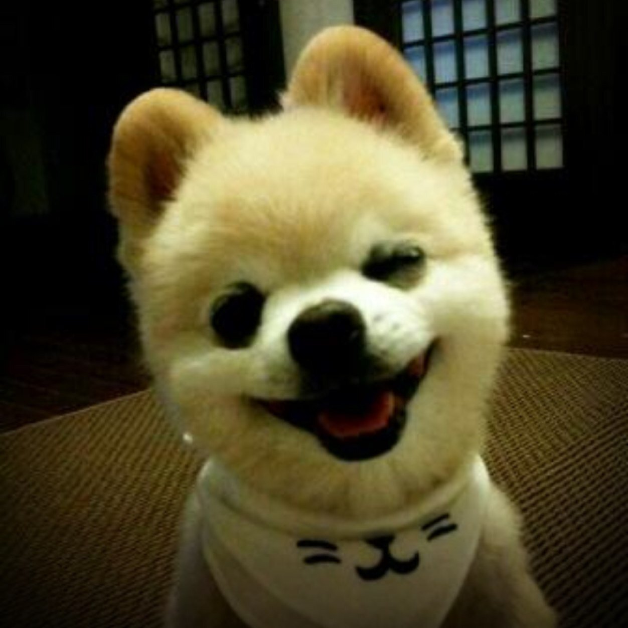 Heaujjx bieber is the best!!! 3 ;o like my bestiess ewah wiggle!