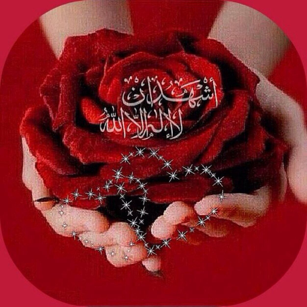 ♡همـسـہ بحَجم الگون گلہ: رزقـنا اللہ وإيّاگـم الجّنہ بِغير حِساآب ولا سابقة عذاب♡ لا اتـداخل خاص للـعمـوم ❤️تابعني اتابعك❤️ لحظة ⬅️http://t.co/H1Ng6u3T7i