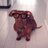 danithepup's profile image