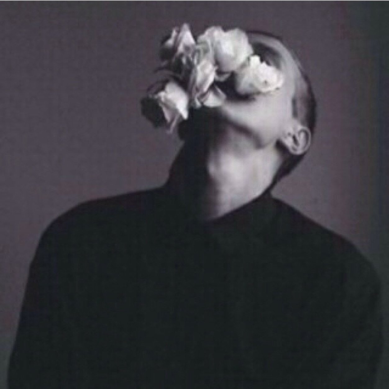 without bio