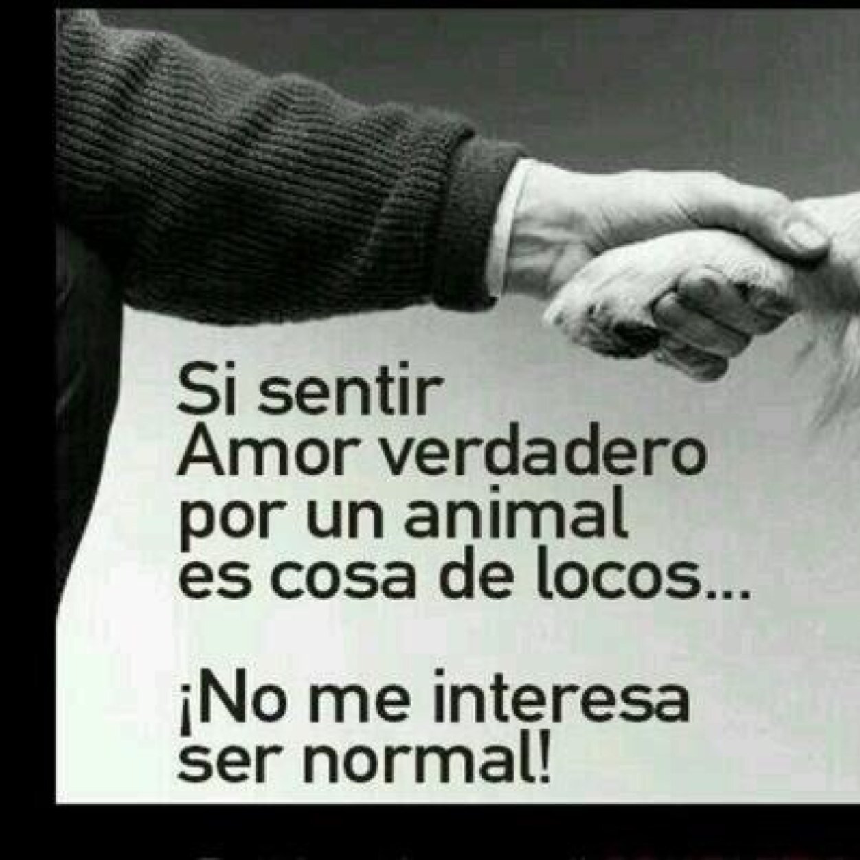 Arq, Dedicada a la remodelacion, minimalista, fiel defensora de los derechos de los animales e indignada de lo cruel q puede ser el hombre!!! Opositora 100%