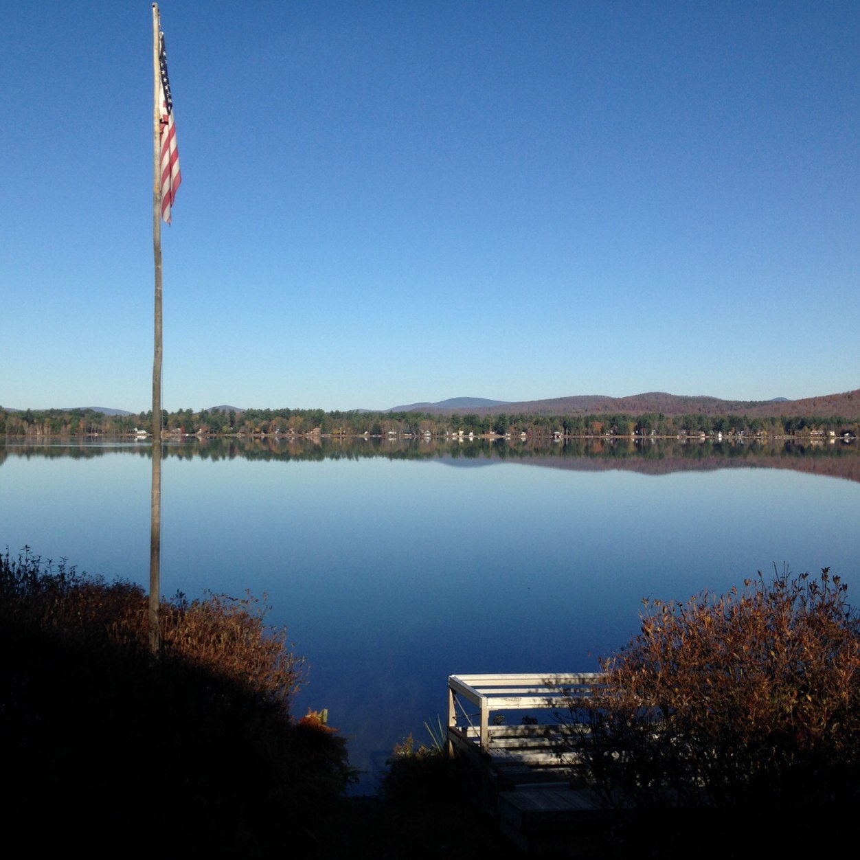 SharonFSalter's profile picture. 