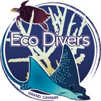 Cayman Eco Divers(@Caymanecodivers) 's Twitter Profile Photo