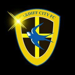 matthew_edmunds's profile picture. floorlayer @ bridgend carpet centre
manager @BryntirionAfc senior team manager