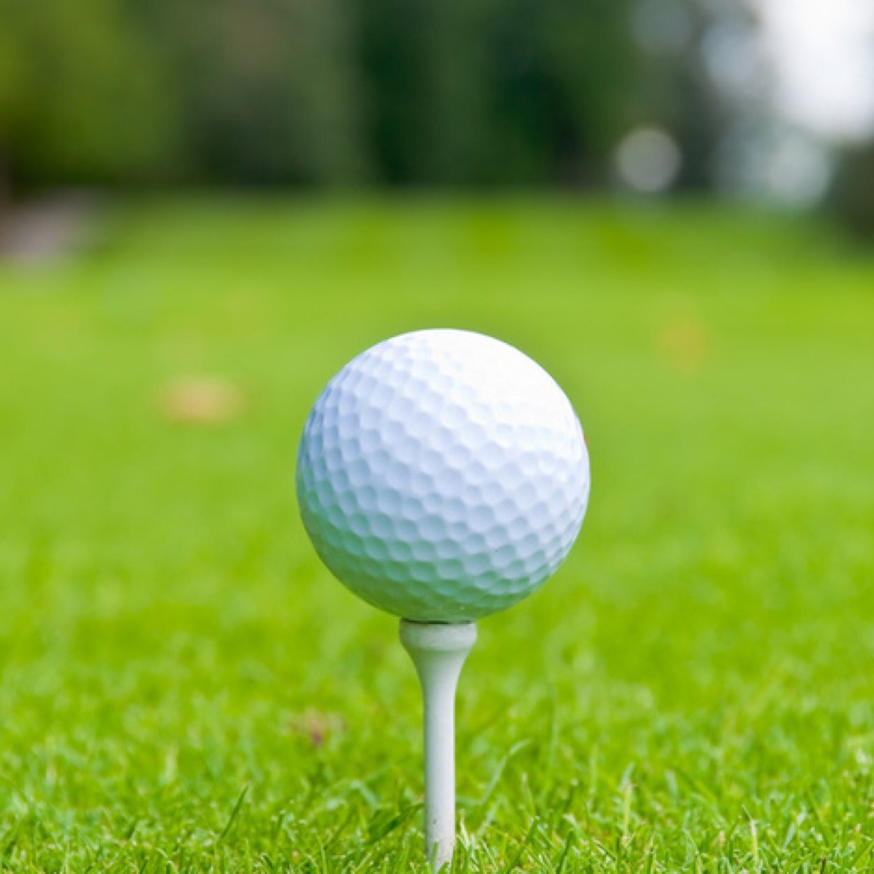 I love sports, life, and pizza. Golf's my fav. 'nuf said. Follow me, I follow back!!
