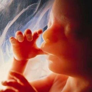 RighttoLife_NB's profile picture. New Brunswick organization that promotes the sanctity of all human life from fertilization to natural death through public education.