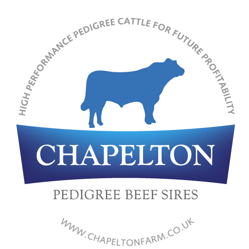 Pedigree Beef Shorthorn and Angus cattle which run alongside our breeder - finisher commercial herd. Data driven, progressive grassland farming in SW Scotland.