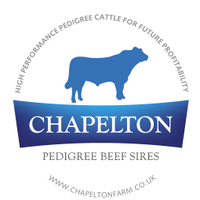 Chapelton Farm(@beefshorthorn) 's Twitter Profile Photo