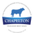 Chapelton Beef Sires