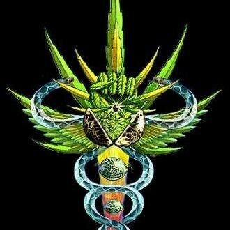 RELIGION RASTAFARI, MUSICA REGGAE M GUSTA SER SINCERO DIGO L VERDAD A Y SI  FUMA WEED. SALUDOS A TODOS LOS PANAS RASTAFARI y DEMAS COMPINCHES L CAUSA ES L MISMA