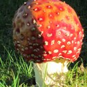 janine atkinson - @atkinson_janine - Twitter