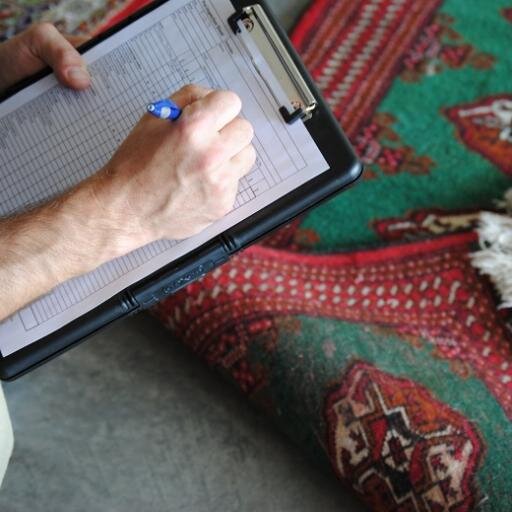 Oriental rug cleaning, repairing and appraising.