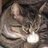 ypocaverguenza's profile image