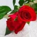 بسمه حلمي (@0127274) Twitter