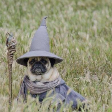 Tvrmaniac99's profile picture. PC Sim Racer | GTR24 2013 Podium Finisher | Motorsport Fan | DJ/Music Producer | Follow my Music Account: @CoskerOfficial