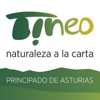 TurismoTineo (@turismotineo) 's Twitter Profile Photo