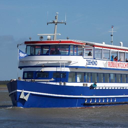 Grijp deze unieke kans en bekijk de zeehond in zijn natuurlijke omgeving: de Waddenzee!