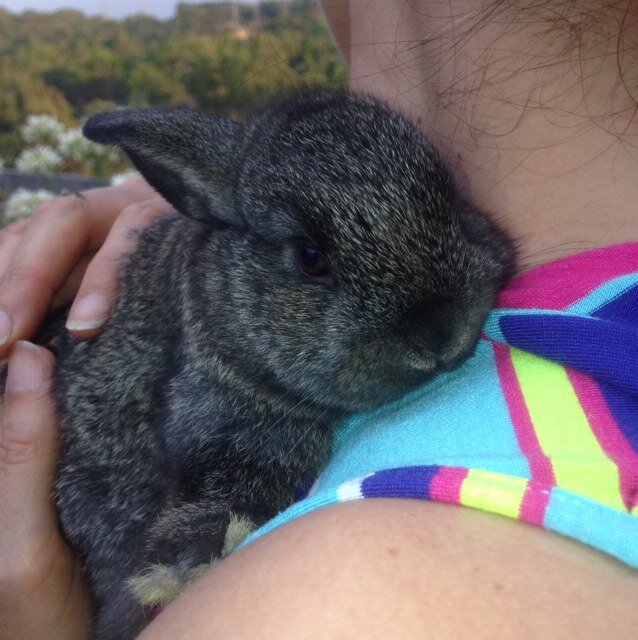 c wrest smith Profile