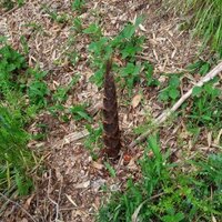 yositada99 (@yositada99) Twitter profile photo