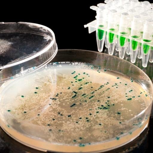 We're all about promoting food safety and the quality of food laboratory testing.