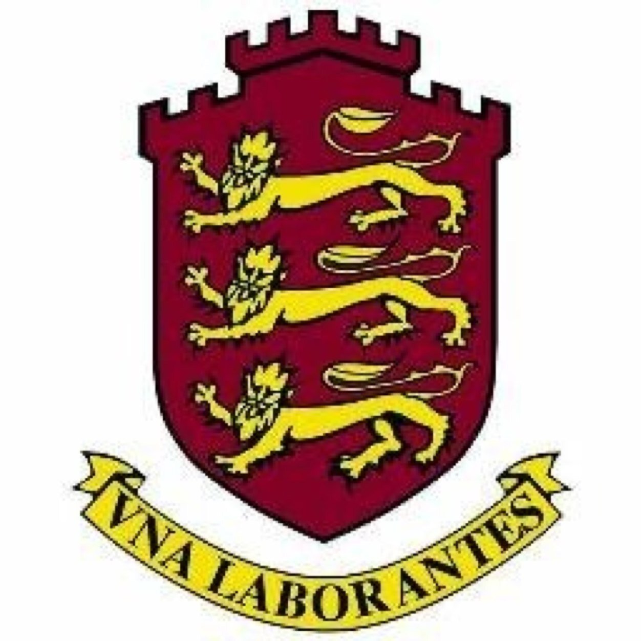 Numeracy_kings's profile picture. 