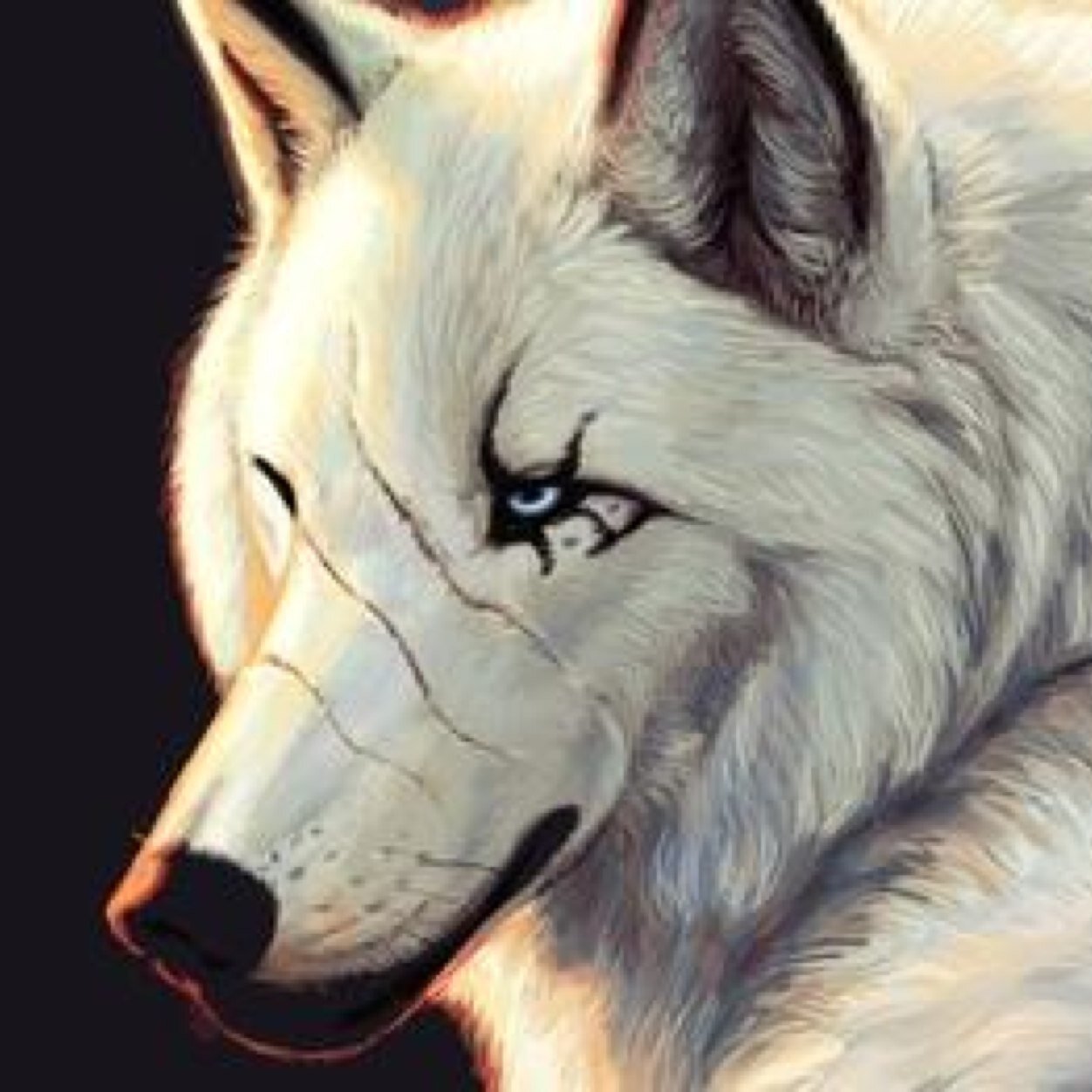FireandiceIce's profile picture. I'm Ashlee a member of the Blood Moon Pack Some girls just wanna have fun I love meeting new wolves and Don't expect me to be all sweet & nice I'm tougher than