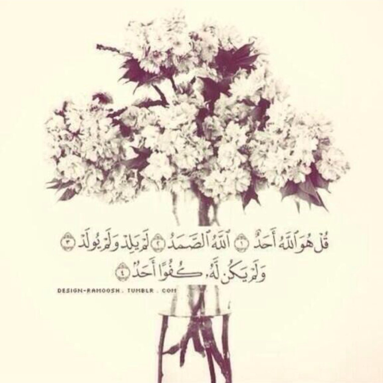 اللهم صل وسلم على نبينا محمد✨