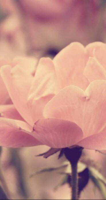 لاآآهنت تابع حسااب الغاآليةة ☜ f570e9b0ab8c4e9@