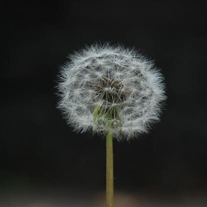 面對生活是必須，活出真正的自己！