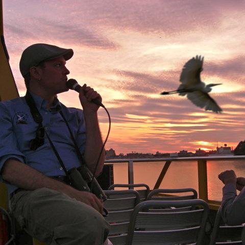 Brooklyn-based science nerd, birder, forager, urban naturalist, illustrator, DJ, & environmental educator. Lead programs @NYCbirdalliance. VP of @LinnaeanNY.