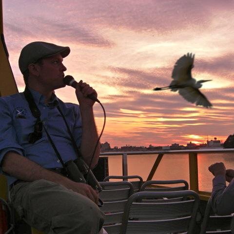 Brooklyn-based science nerd, birder, forager, urban naturalist, illustrator, DJ, & environmental educator. Lead programs @NYCAudubon. VP of @LinnaeanNY.