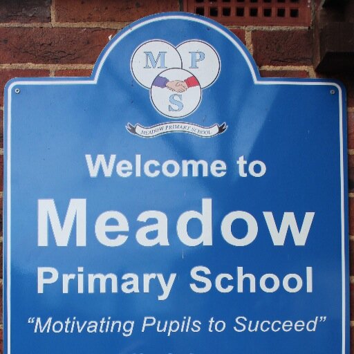 Meadow Primary Profile