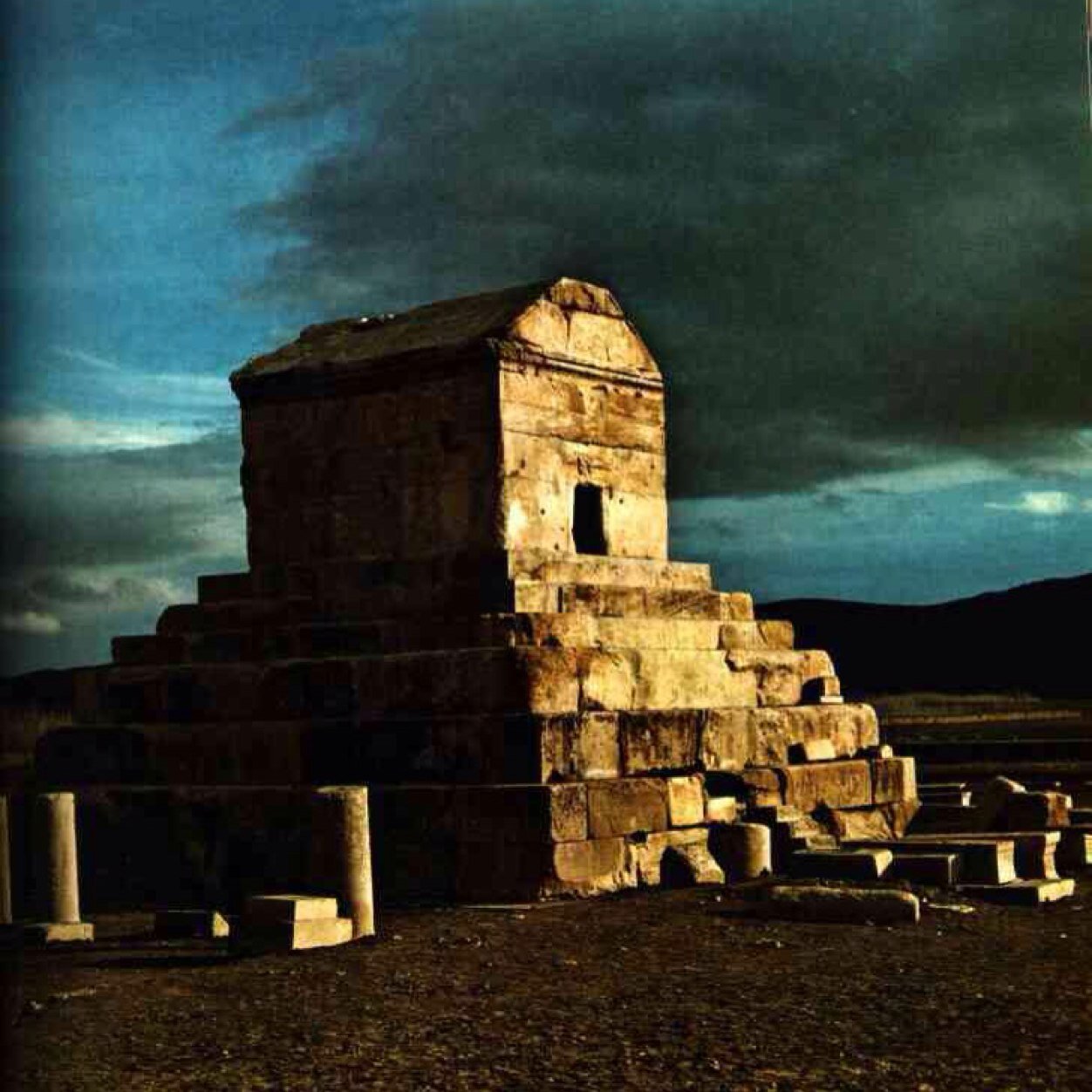 only_shabi's profile picture. 