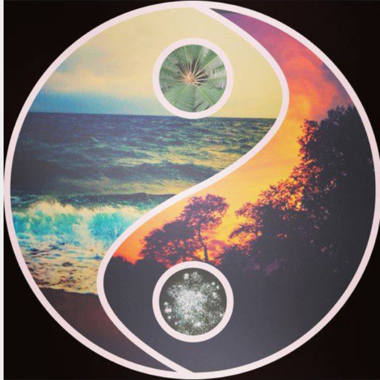 ≋Vibrate At a Higher Frequency≋